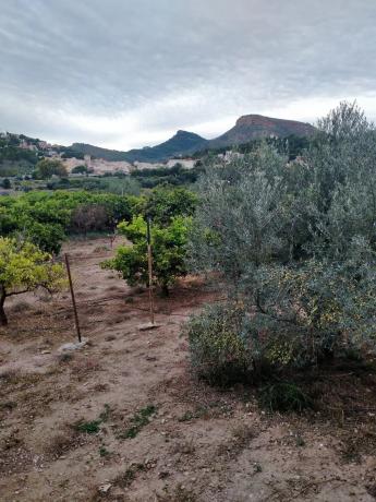 Terreno en plaza Poligono 1, 1
