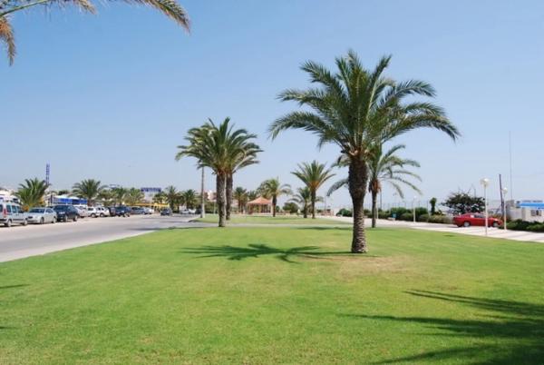 Terreno en calle del Xuquer s/n