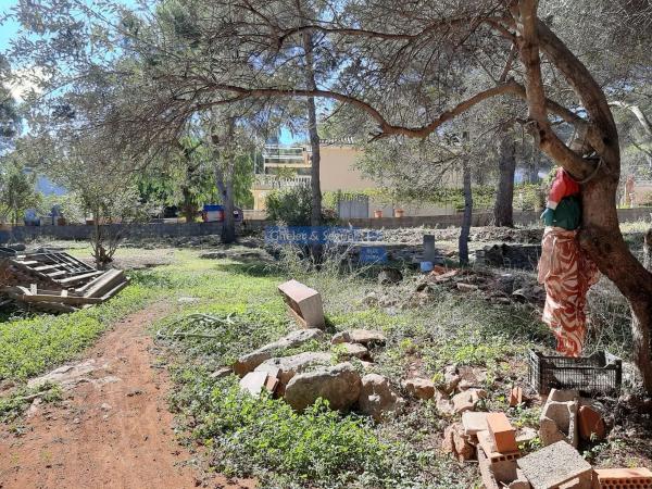 Terreno en Montes De Palancia
