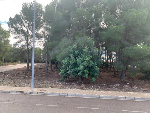 Terreno en Urbanización Tarongers s/n