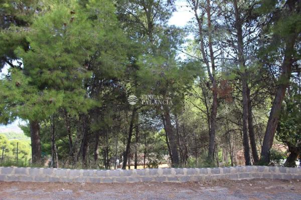 Terreno en Urbanización el Tochar, 100