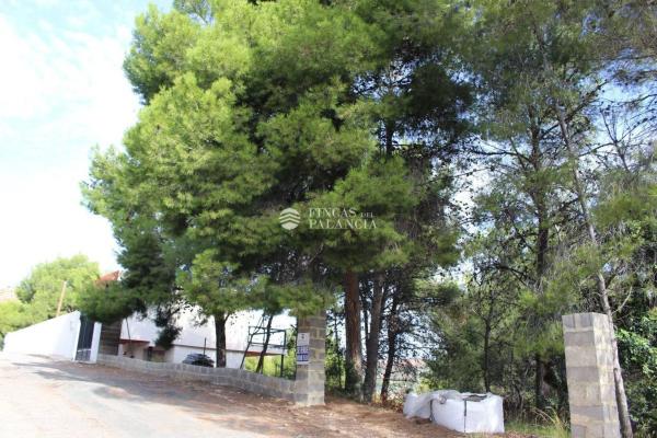 Terreno en Urbanización el Tochar, 100