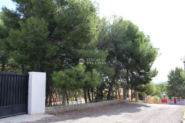 Terreno en Urbanización el Tochar, 100