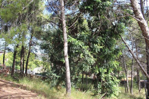 Terreno en Urbanización el Tochar, 100