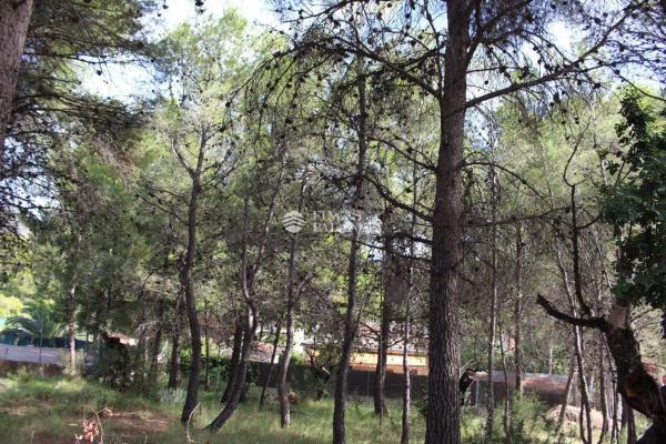 Terreno en Urbanización el Tochar, 100