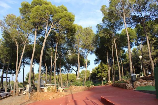 Terreno en Urbanización el Tochar, 100