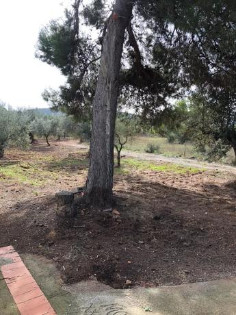 Terreno en Llano de Arguinas s/n