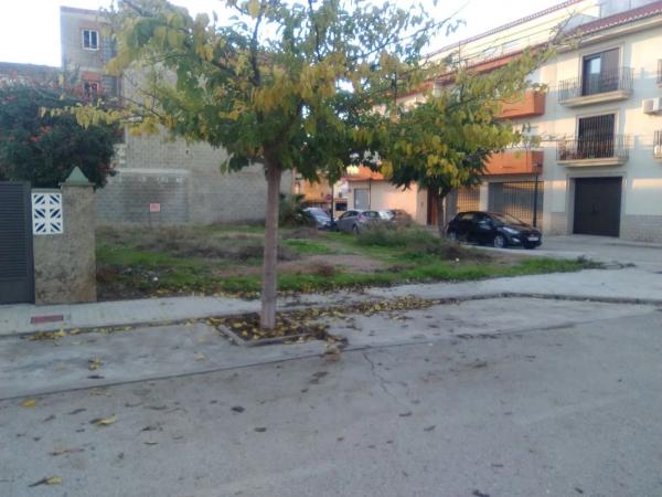 Terreno en Algimia de Alfara