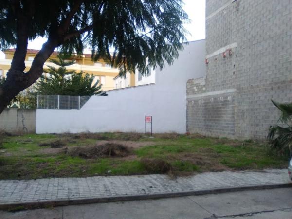 Terreno en Algimia de Alfara