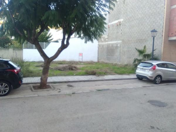 Terreno en Algimia de Alfara