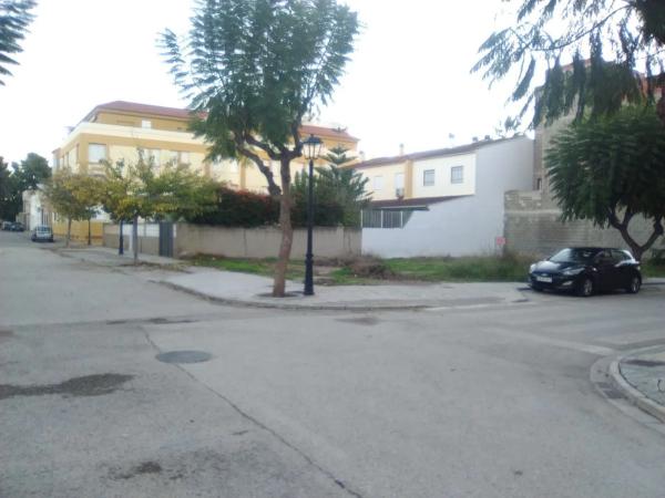 Terreno en Algimia de Alfara