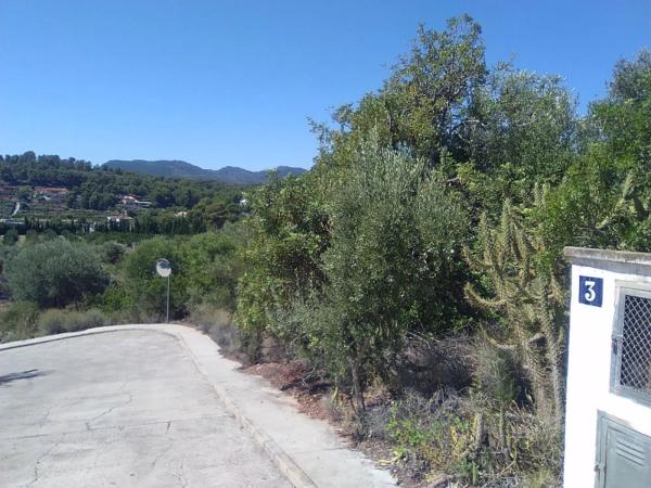 Terreno en Torres-Torres