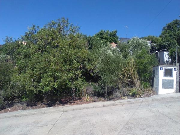 Terreno en Torres-Torres