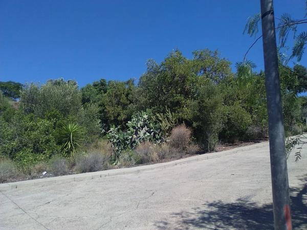 Terreno en Torres-Torres