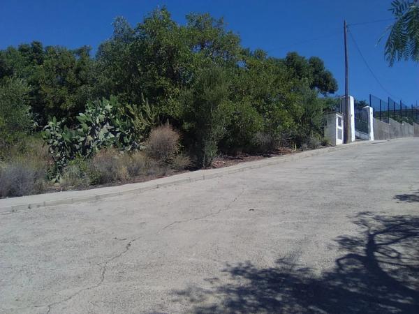 Terreno en Torres-Torres