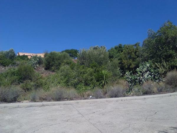 Terreno en Torres-Torres