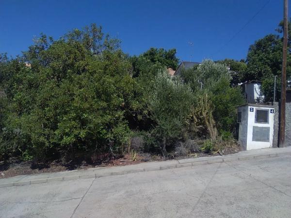 Terreno en Torres-Torres