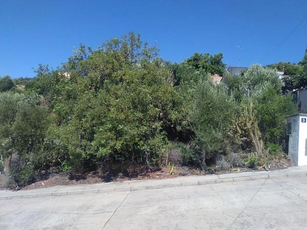 Terreno en Torres-Torres