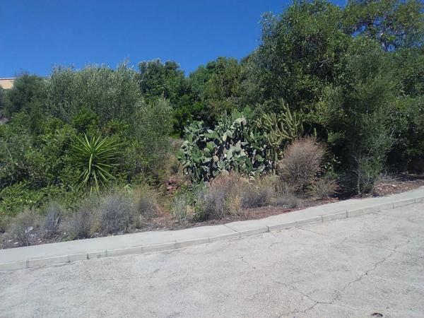 Terreno en Torres-Torres