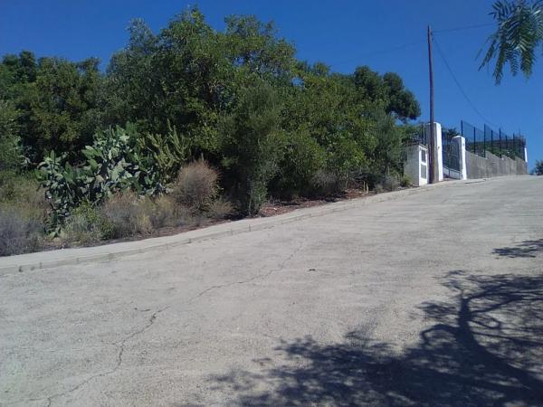 Terreno en Torres-Torres