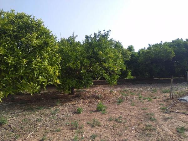 Terreno en Doctor Palos - Alto Palancia