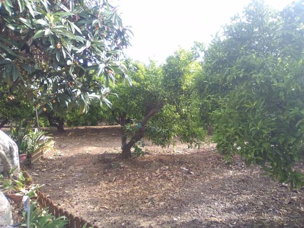 Terreno en Doctor Palos - Alto Palancia