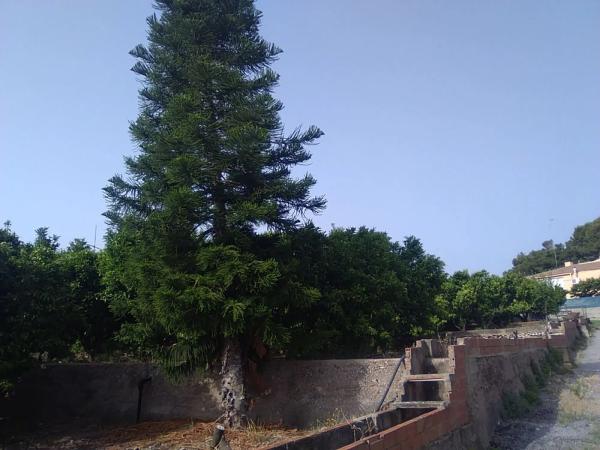 Terreno en Doctor Palos - Alto Palancia