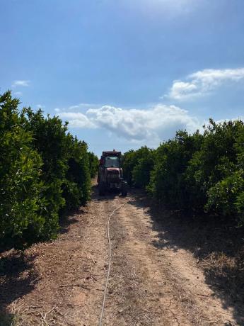 Terreno en camino Mangrano s/n Camimangranocamipereres