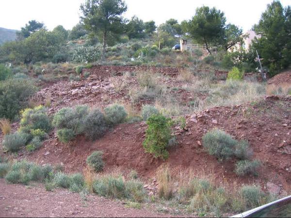 Terreno en calle urbanización Balcón de la Peya, 36