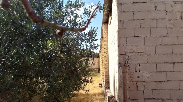 Terreno en Partida la Clocheta s/n