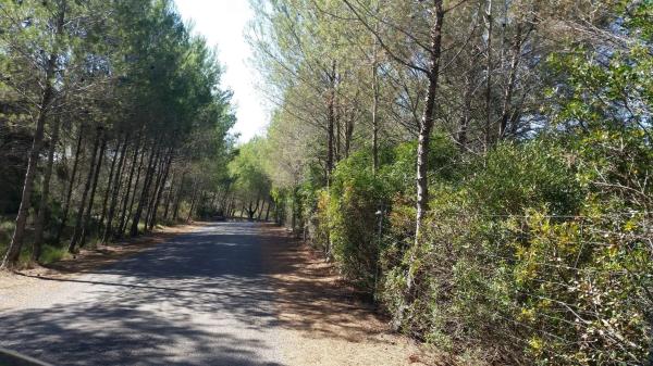 Terreno en via Mudéjar, km 25