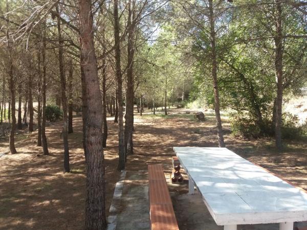 Terreno en via Mudéjar, km 25