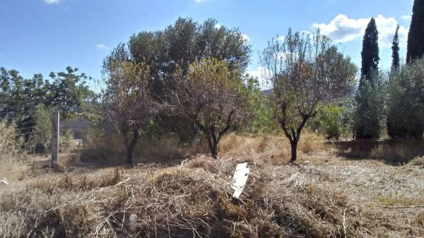Terreno en Partida la Clocheta s/n