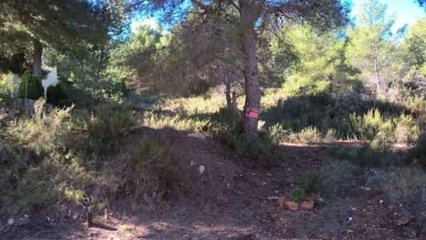 Terreno en calle 6, 54