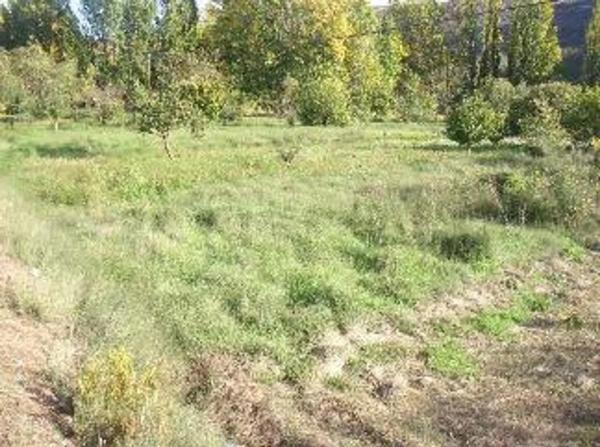 Terreno en Casas Bajas