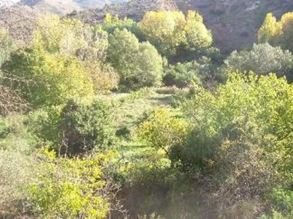 Terreno en Casas Bajas