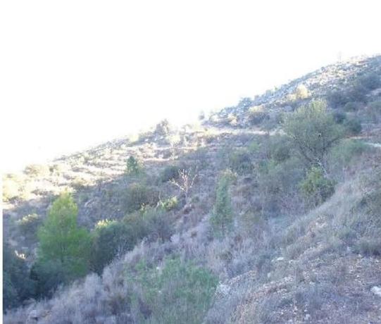 Terreno en Casas Bajas