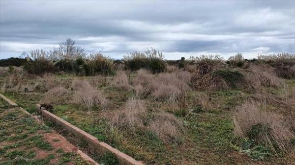 Terreno en carretera Valencia