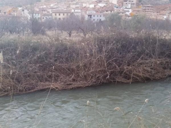 Terreno en carretera Valencia