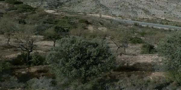 Terreno en Castielfabib