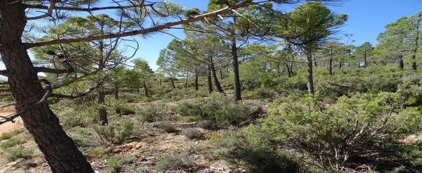 Terreno en Castielfabib