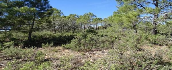 Terreno en Castielfabib