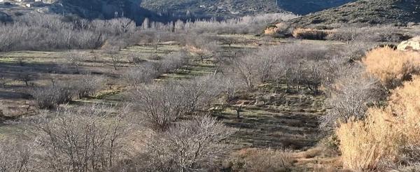Terreno en Castielfabib