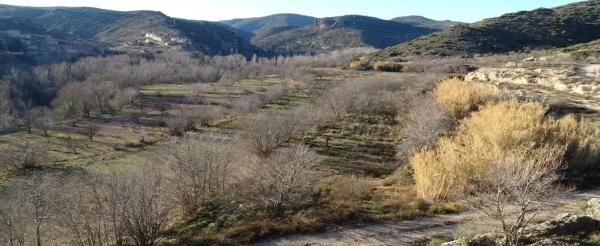 Terreno en Castielfabib