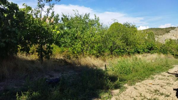 Terreno en Los Planos, 16