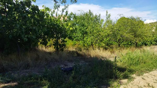 Terreno en Los Planos, 16