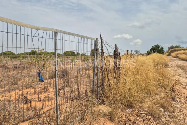 Terreno en Torre en Conill-Cumbres de San Antonio