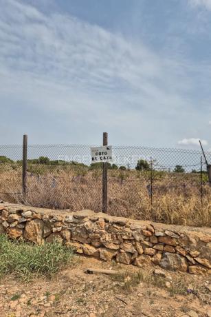 Terreno en Torre en Conill-Cumbres de San Antonio