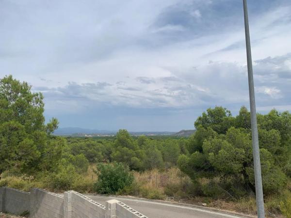 Terreno en calle Tarongers s/n Sn