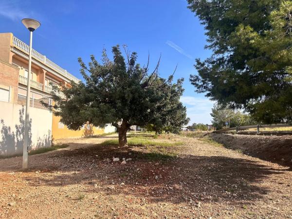 Terreno en calle Gregal, 19